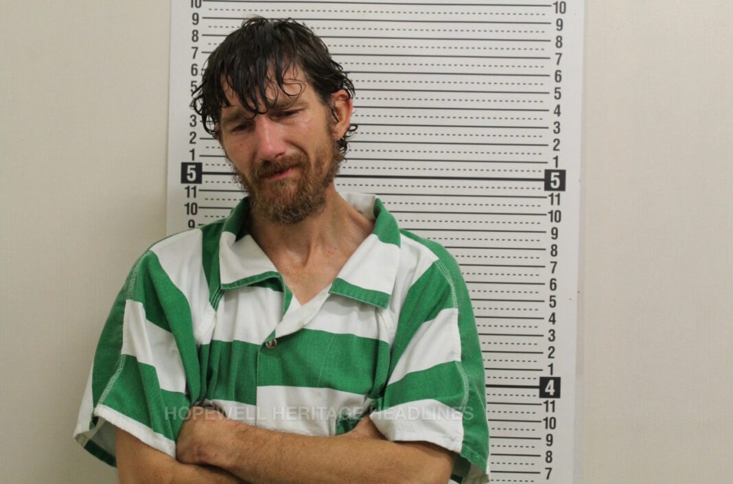 “Write Me a Summons, I’ll Tell You”: Man Accused of Stealing Ninja Turtle Toy Tries To Negotiate Arrest