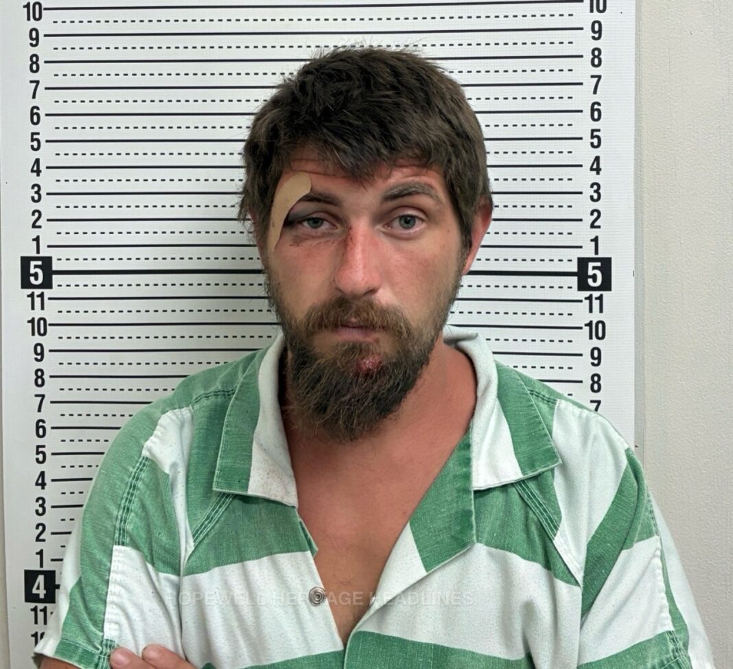 Enjoying A Few Beers Has a Shocking End ⚡️: Wanted Man Tased After Resisting Arrest