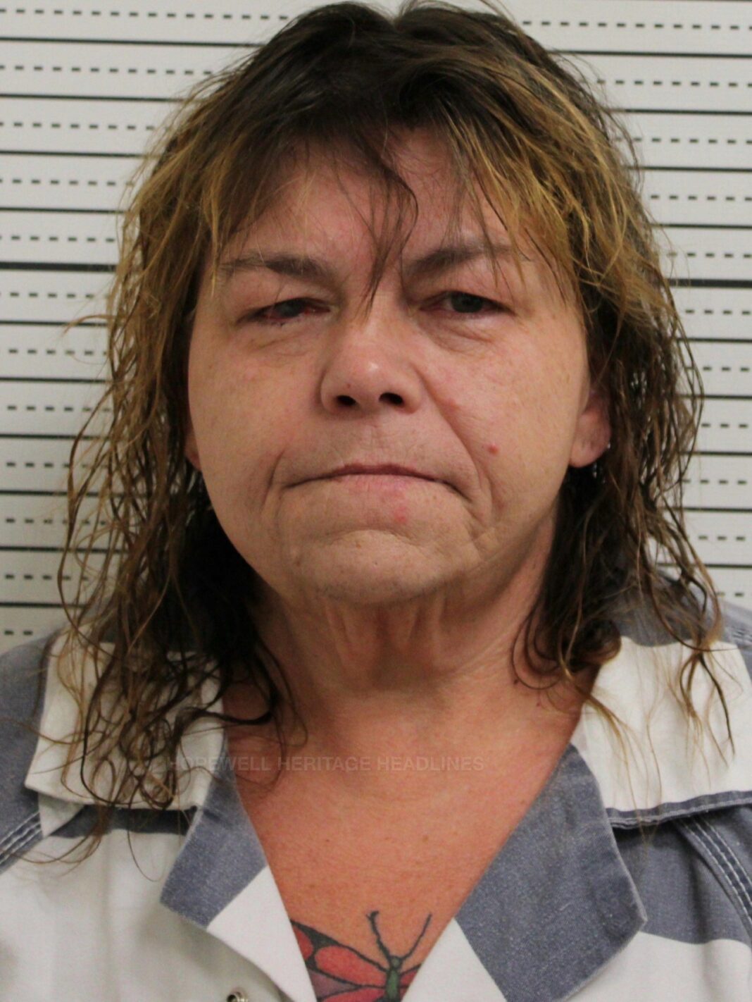 Minford Woman Jailed in Ross County Following Felony Indictment