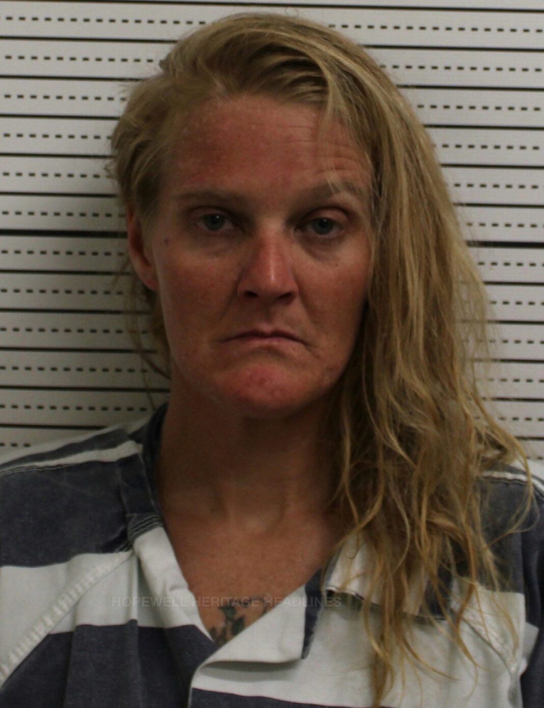 Woman Booked in Ross County Jail on Multiple Charges Following Frankfort-Area Domestic Dispute