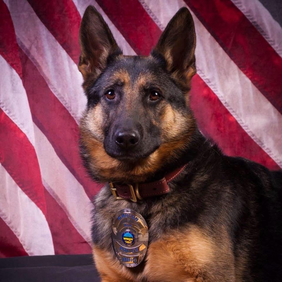 Retired Piketon Police K9 Lana Passes Away After Years of Service in Ohio