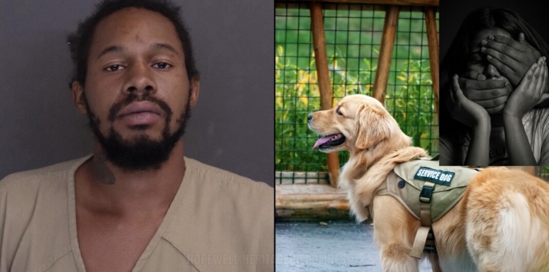 Dashawn Harding Arrested in Columbus on Felony Strangulation Charge After Domestic Violence Call; Faces Separate Animal Torture Allegation