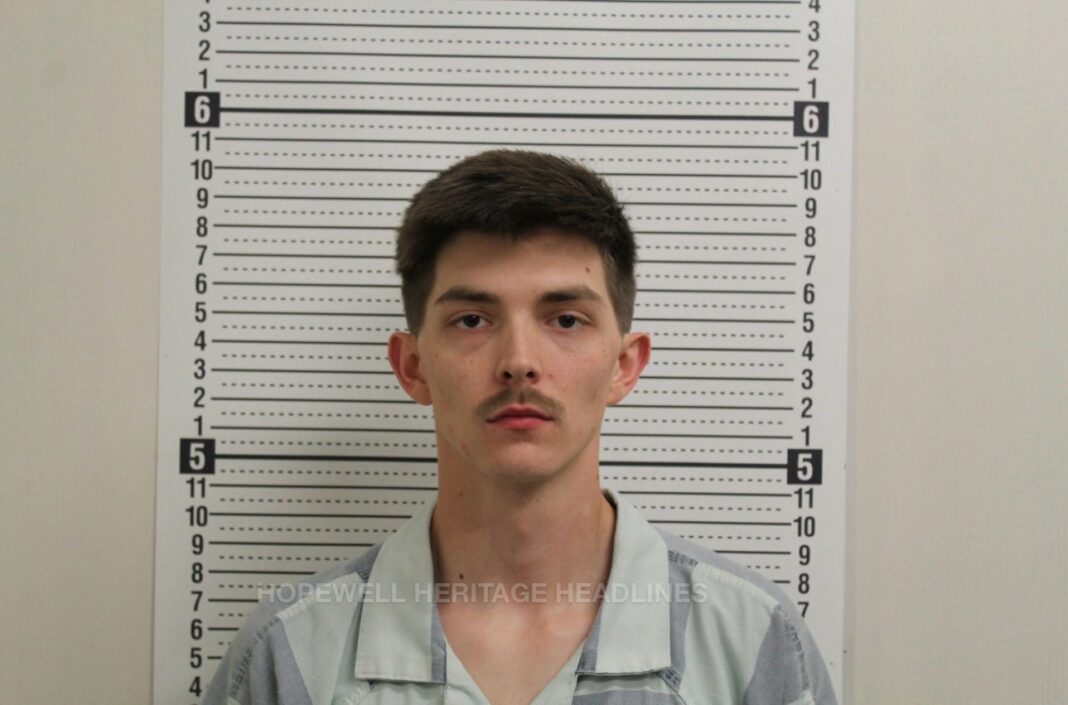 FELONY FOLLOW UP: AUSTIN EARLES