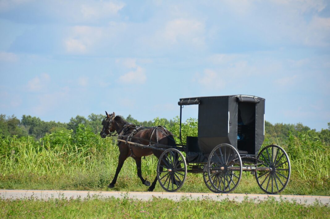 Greenfield Woman Killed After Pickup Strikes Horse-Drawn Buggy on US 50 in Highland County