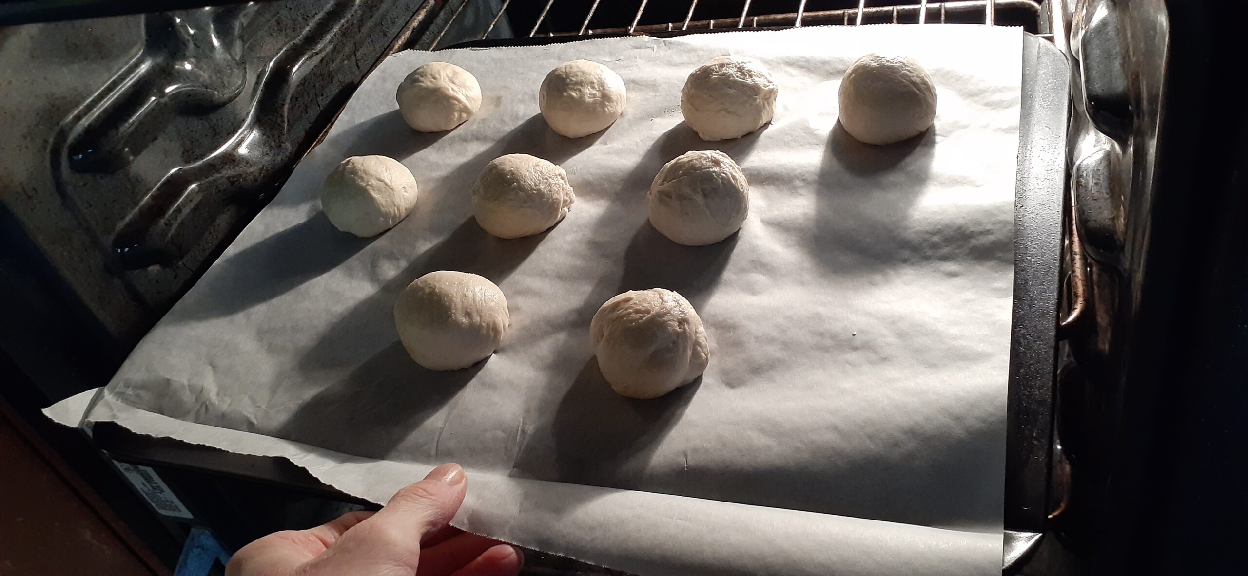 Rolls going into the oven at Art House Bakery