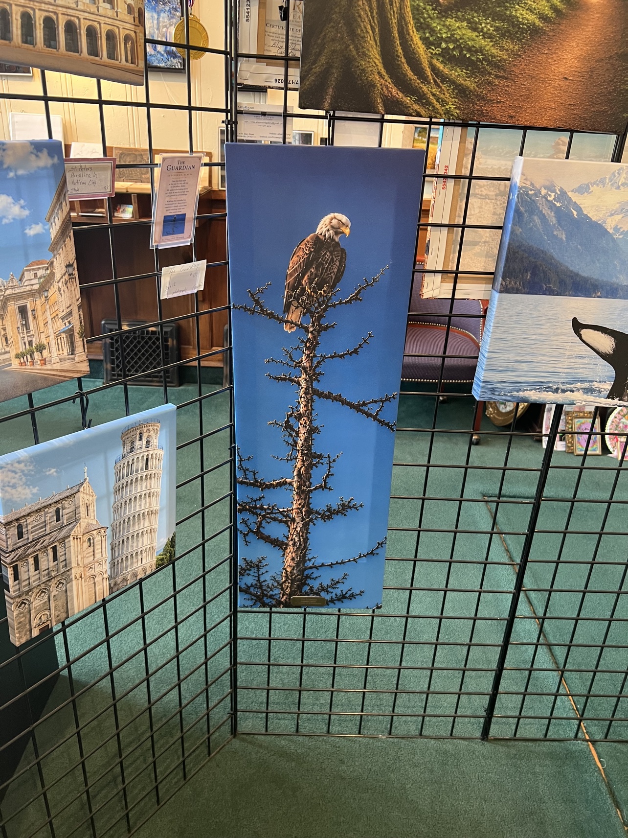 “The Guardian,” a bald eagle photograph, hangs on a display grid alongside travel photography.