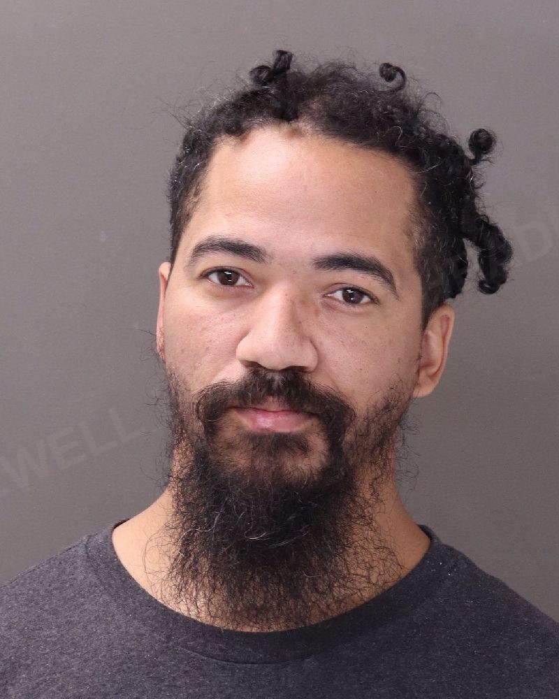 Columbus Man Charged With Felony Strangulation, Faces Companion Animal Counts