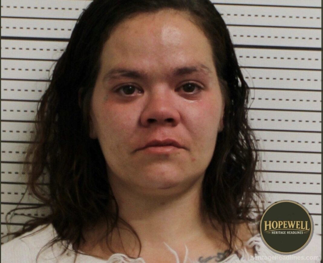 From Missing Person Report to Jail Booking: Chillicothe Woman Faces Felony Charge.