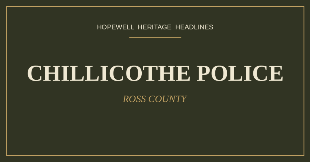 A Busy Few Days for Police Along North Bridge Street