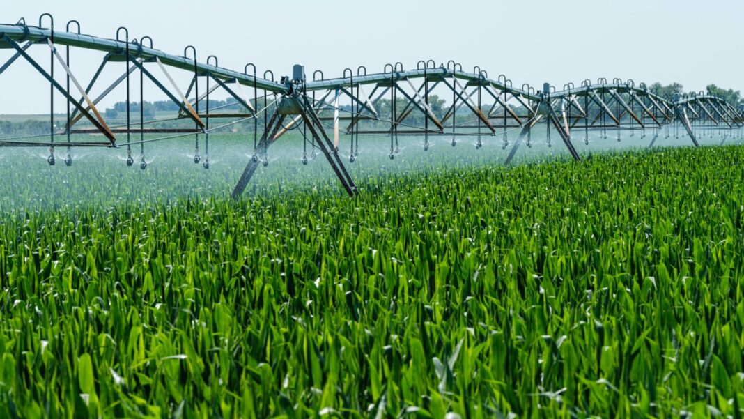 Pike County Farmers Can Tap a 0,000 H2Ohio Grant for Cleaner Water