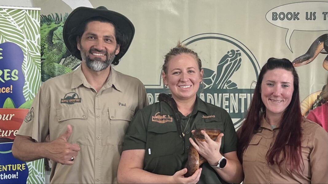 Meet Mikey, the Iguana in a Witch Hat at the Pumpkin Show