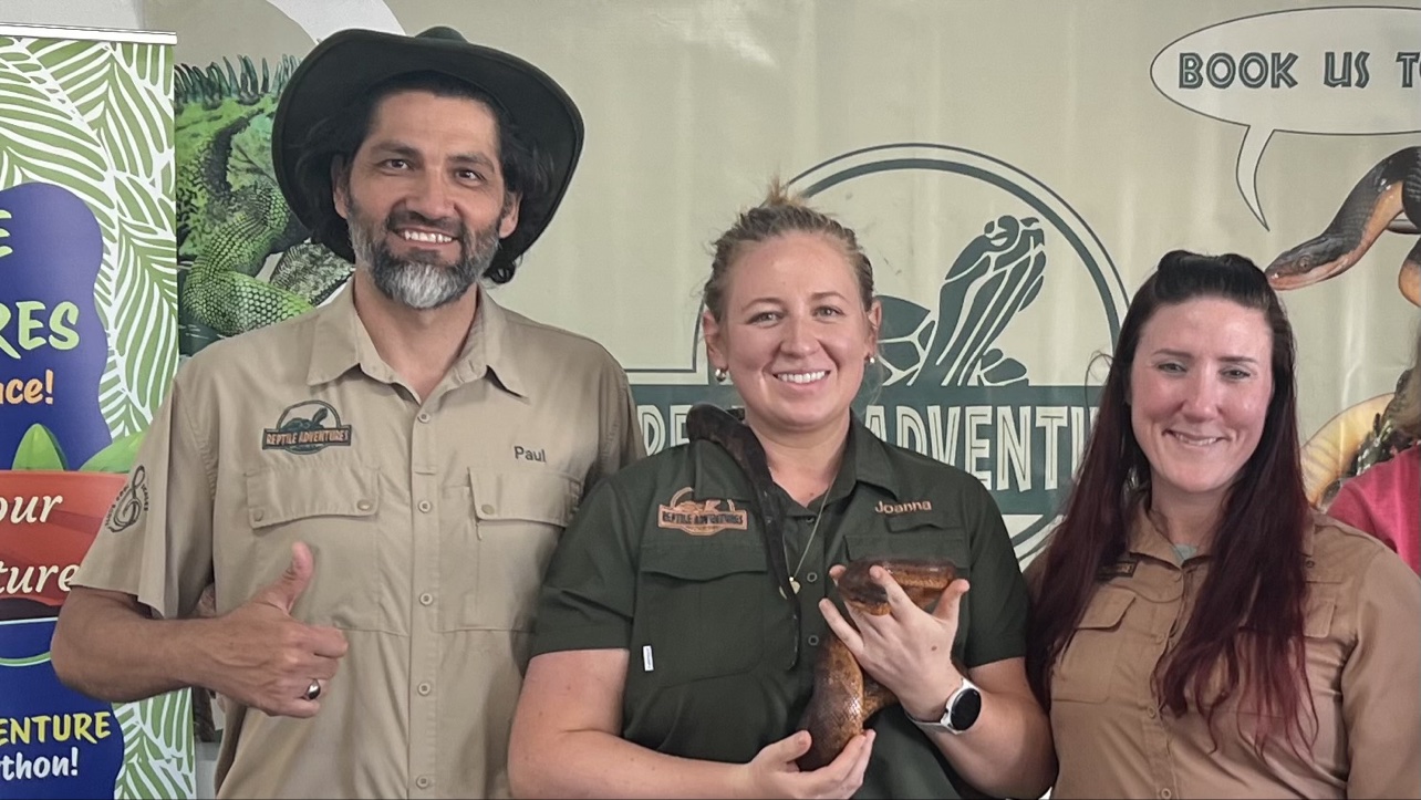 Meet Mikey, the Iguana in a Witch Hat at the Pumpkin Show